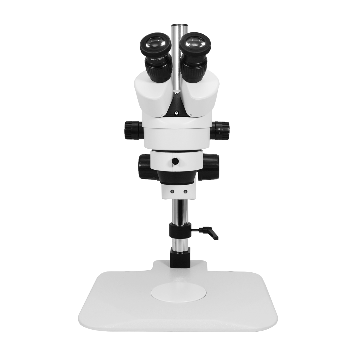 Stereo Microscope